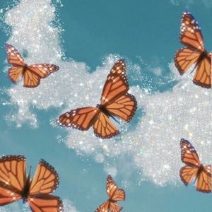 Meet your Posher, Glorie-ann